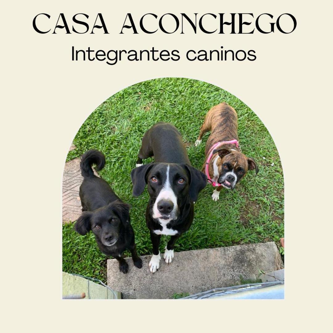 Casa Aconchego 345 Ao Lado Alles Park Pomerode Exterior foto